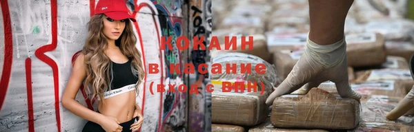 стаф Алексин