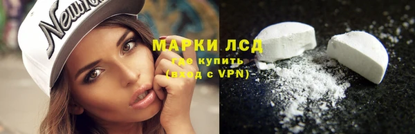стаф Алексин