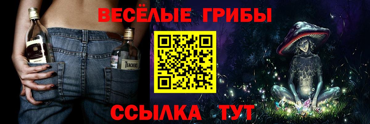Одинцово  Псилоцибиновые грибы MAGIC MUSHROOMS  Вход с VPN 